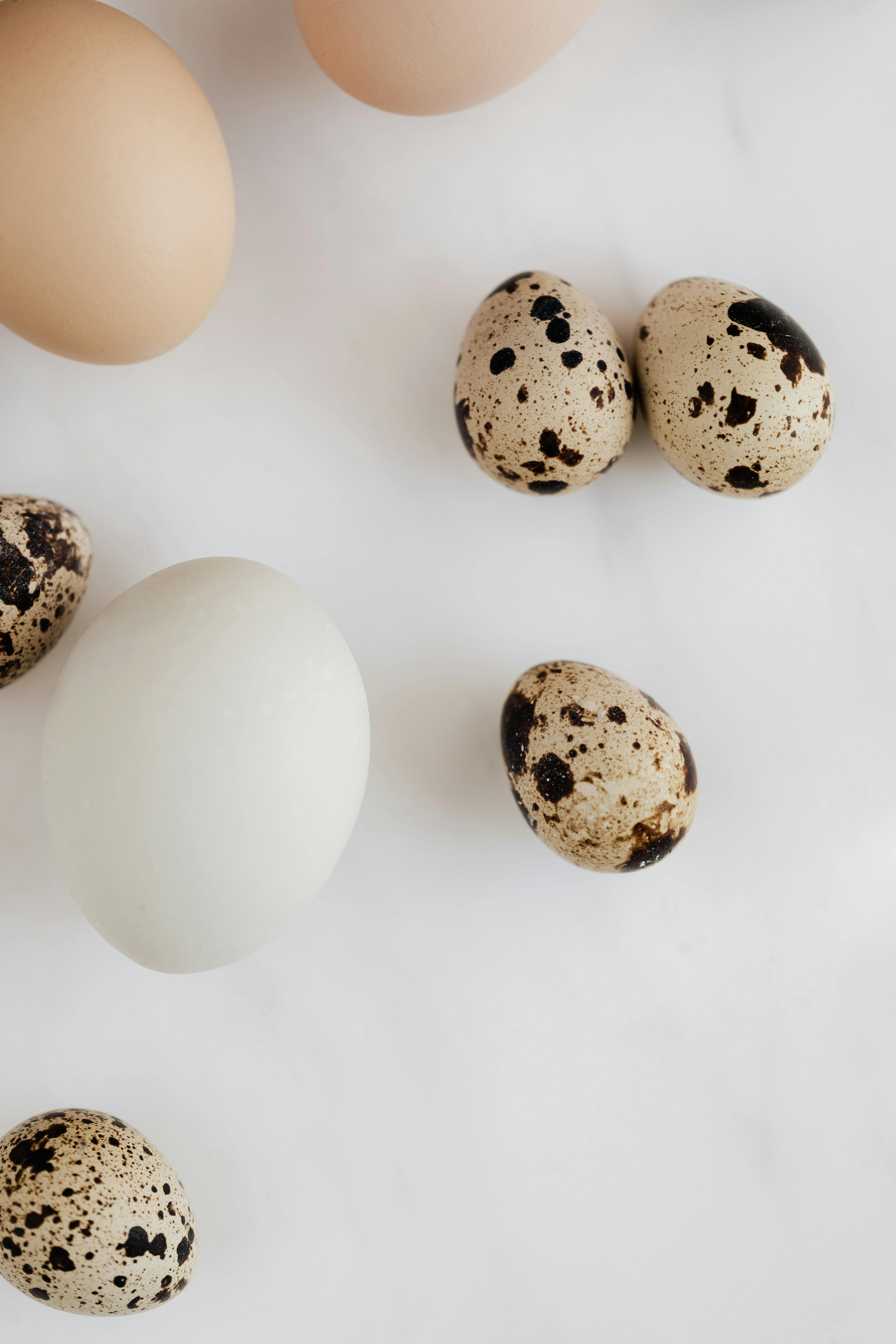 Keto Protein Shake